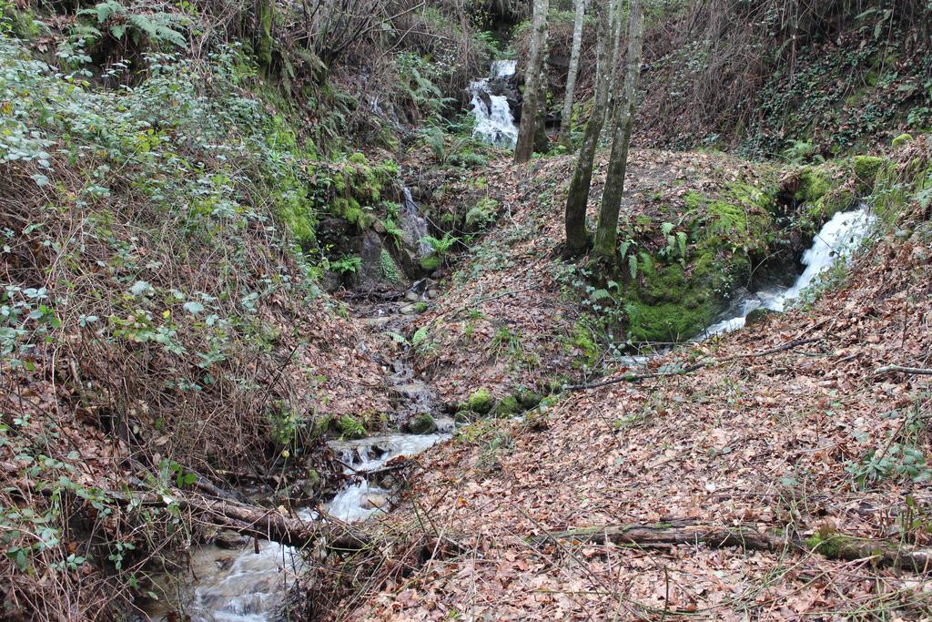 Отель Eco Camping Juncal Марку-ди-Канавезиш Экстерьер фото