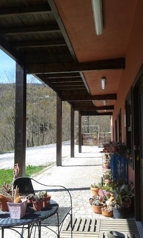 Отель Eco Camping Juncal Марку-ди-Канавезиш Экстерьер фото